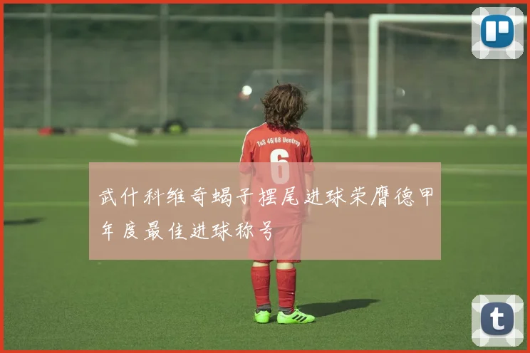 武什科维奇蝎子摆尾进球荣膺德甲年度最佳进球称号