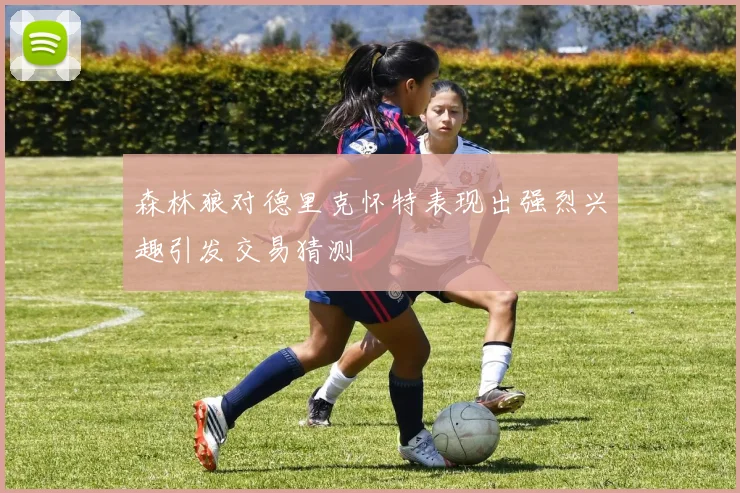森林狼对德里克怀特表现出强烈兴趣引发交易猜测